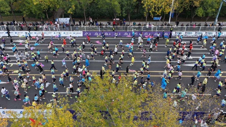 持续推动体, 着力培养高, 市争光 持续推动体, 着力培养高, 市争光